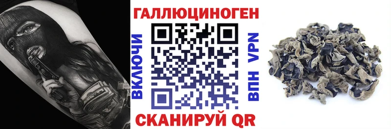 Псилоцибиновые грибы GOLDEN TEACHER  Усть-Кут 