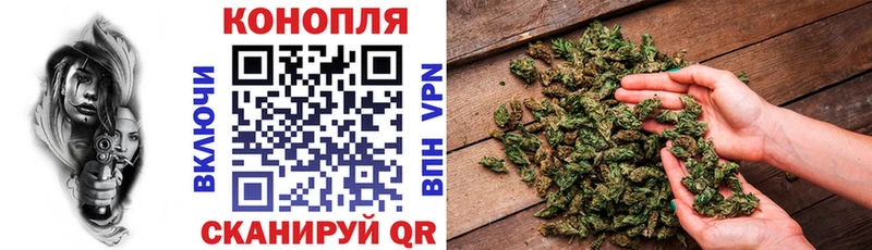 блэк спрут ссылки  сколько стоит  Усть-Кут  Бошки марихуана OG Kush 